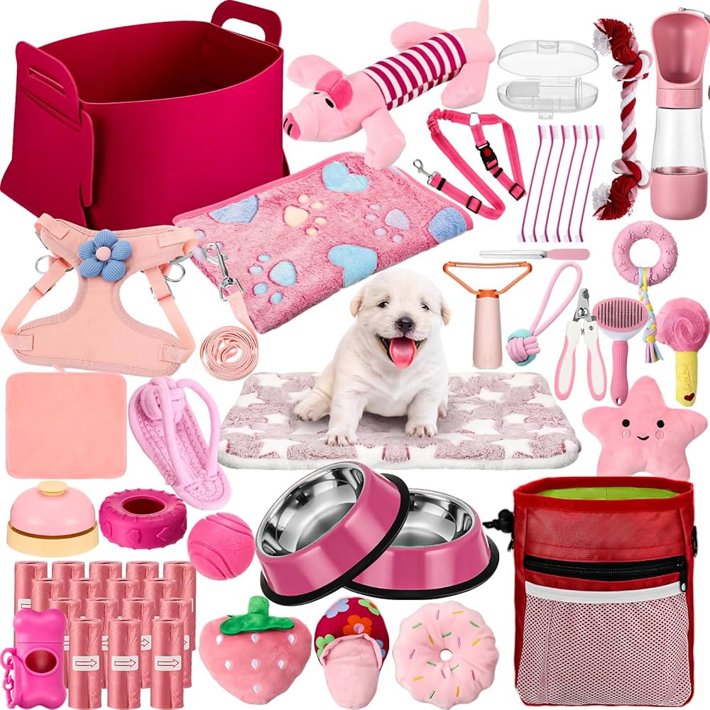Animal supplies and playful toys
